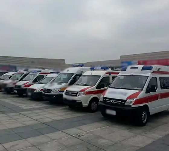 维西服务车队展示