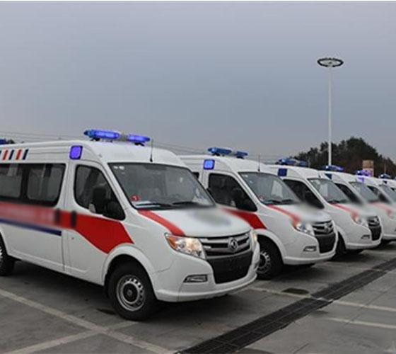 维西服务车队展示