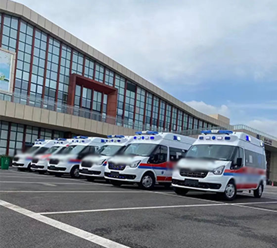 维西服务车队展示