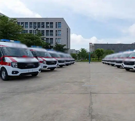 维西服务车队展示